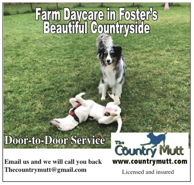Dog Grooming, Boarding & Daycare in Scituate, RI Country Mutt
