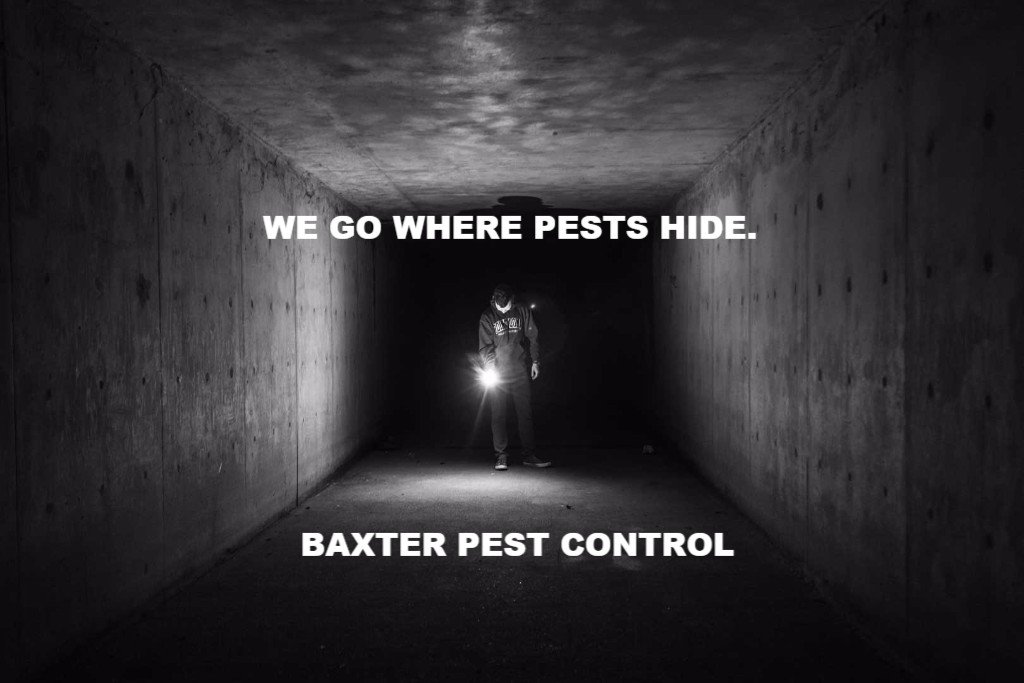 Baxter Pest Control Philadelphia pest control, ant, roache, Mice, Bed