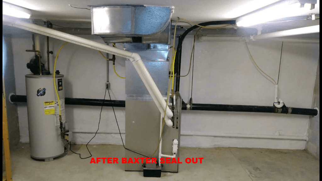 Baxter Pest Control Philadelphia pest control, Mice, Bed Bug Control