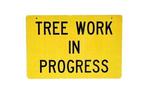 tree work in progress