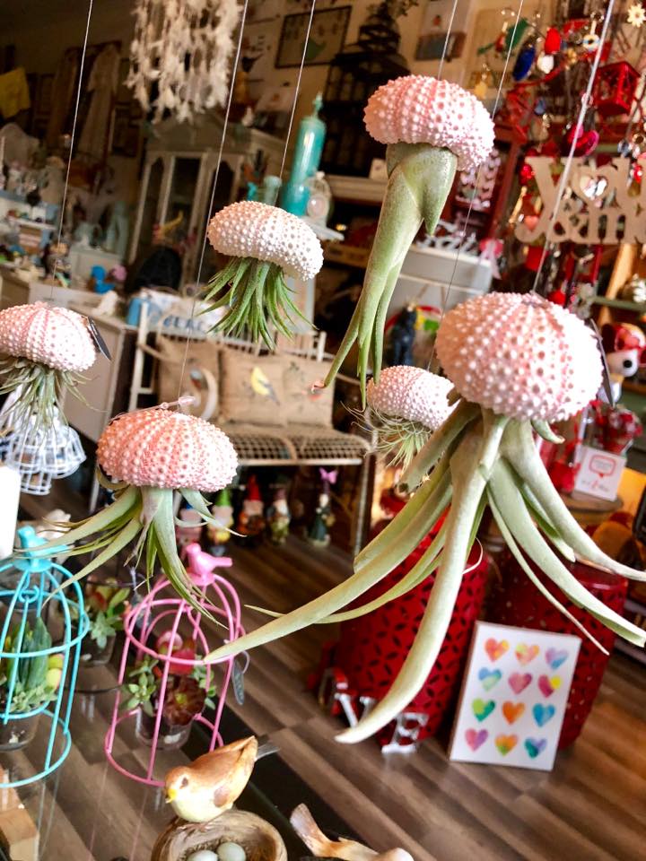Visit Benicia | Shopping