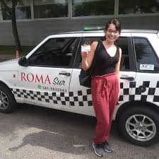 ROMA-SUR-CONDUCTORES