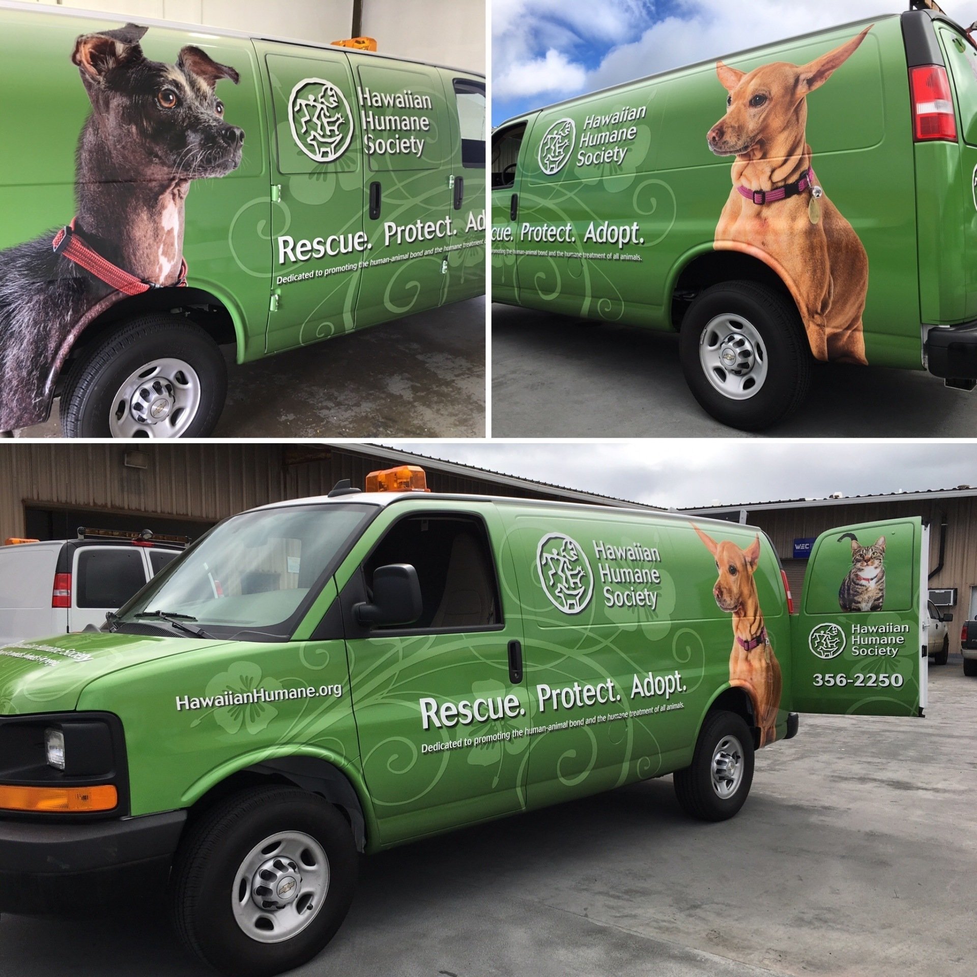 Best Vehicle Wraps in Hawaii. Fast and Affordable.