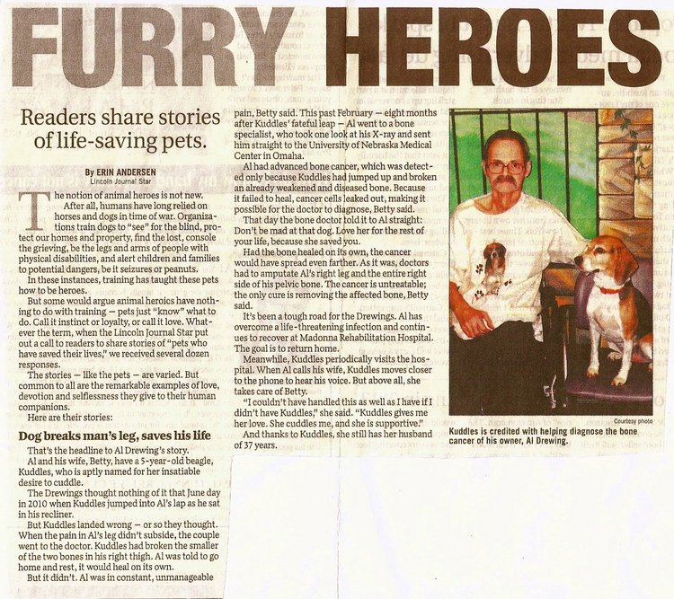 Pet Grooming Lincoln, NE Wachal Pet Health Center