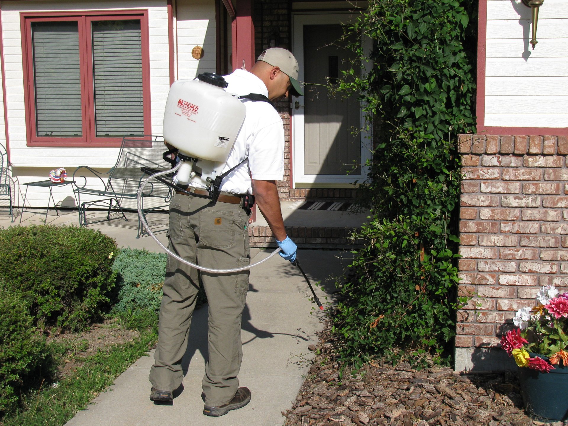 Home Pest Control EnviroPest Pest Control Exterminator In Colorado