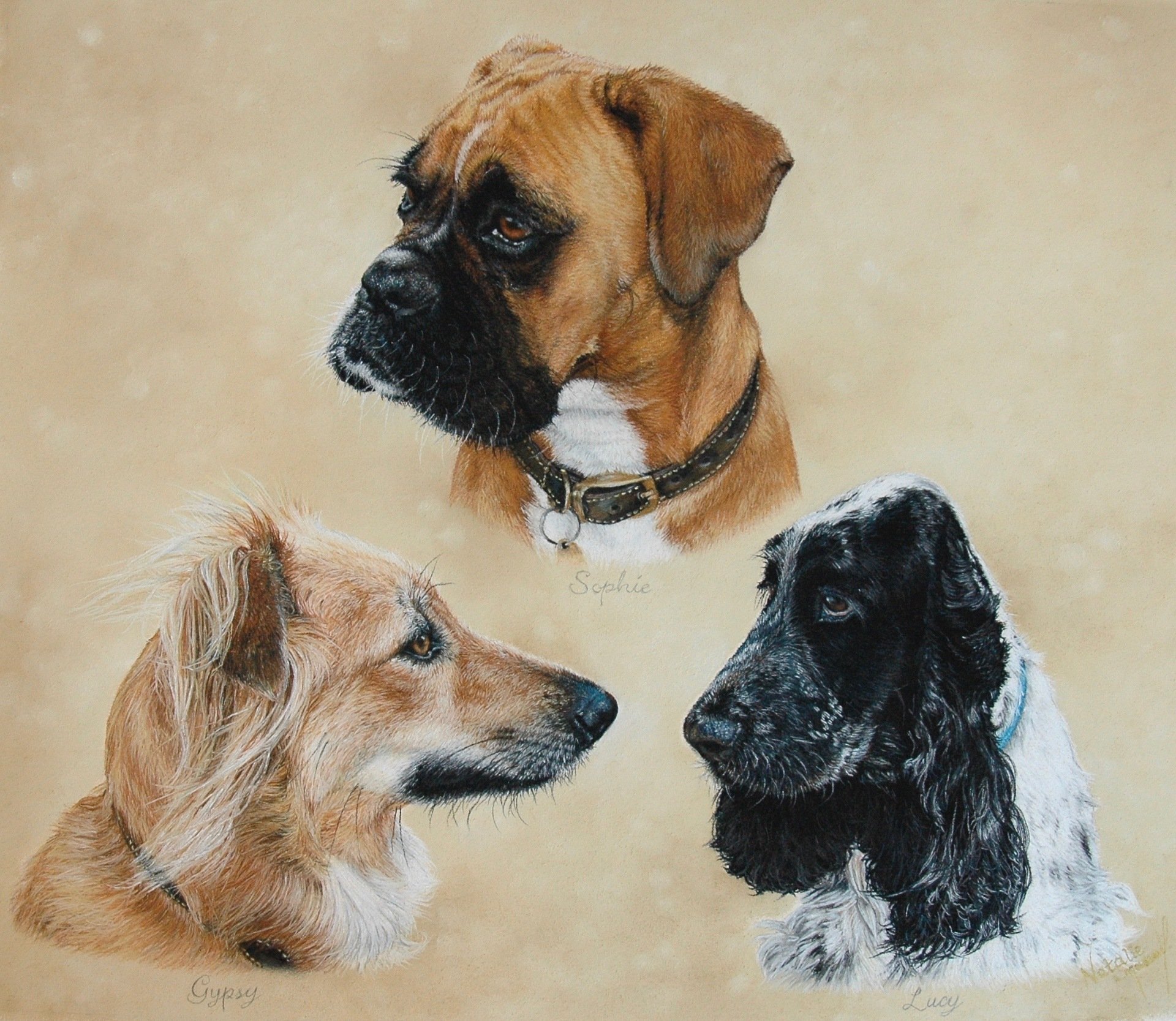 Pet portraits undertaken by award winning wildlife artist Natalie ...