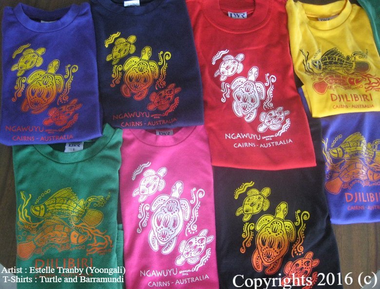 Indigenous Souvenirs Cairns Native Creations