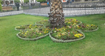 Inversiones Máximo Grass