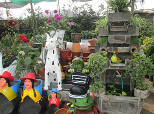 Inversiones Máximo Grass