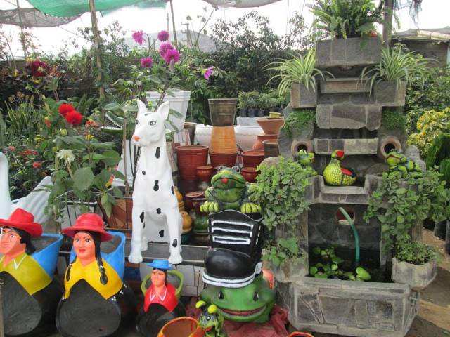 Inversiones Máximo Grass