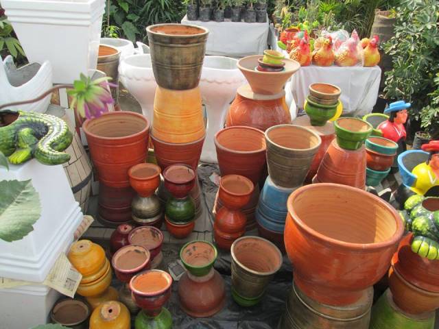 Inversiones Máximo Grass