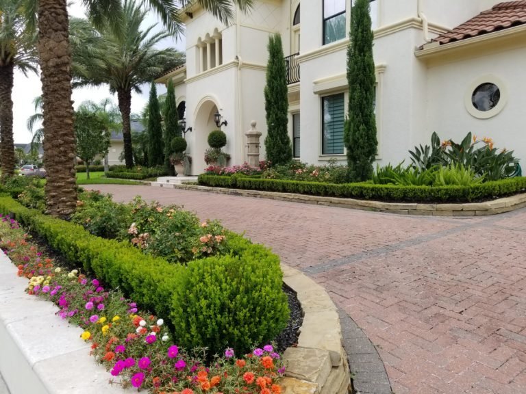 My Top 10 Favorite Plants for Houston Weather