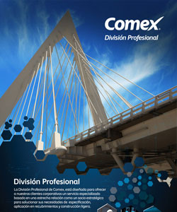 Profesional Comex