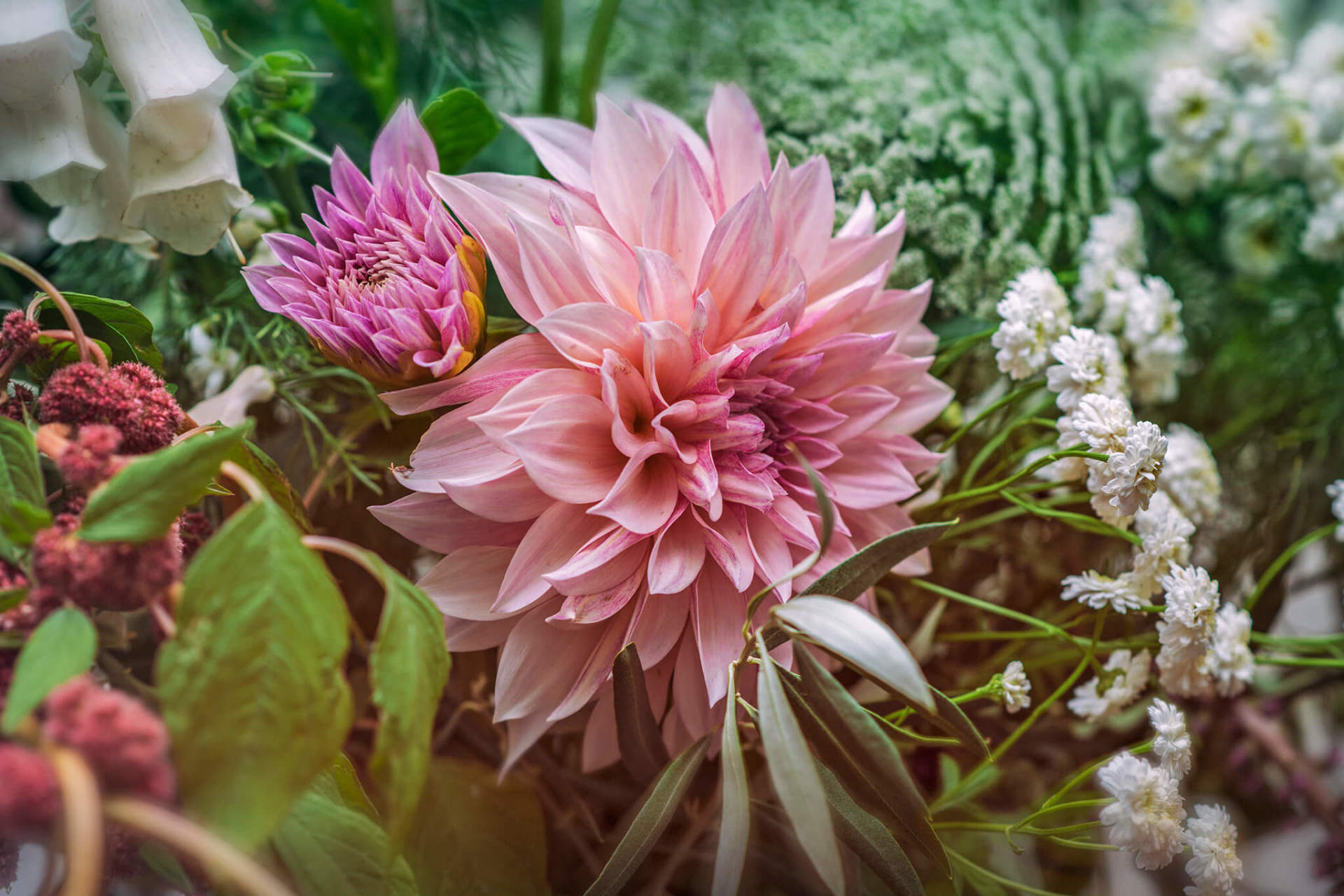 Weddings at Port Marlborough Pavilion in Picton, Marlborough, NZ
