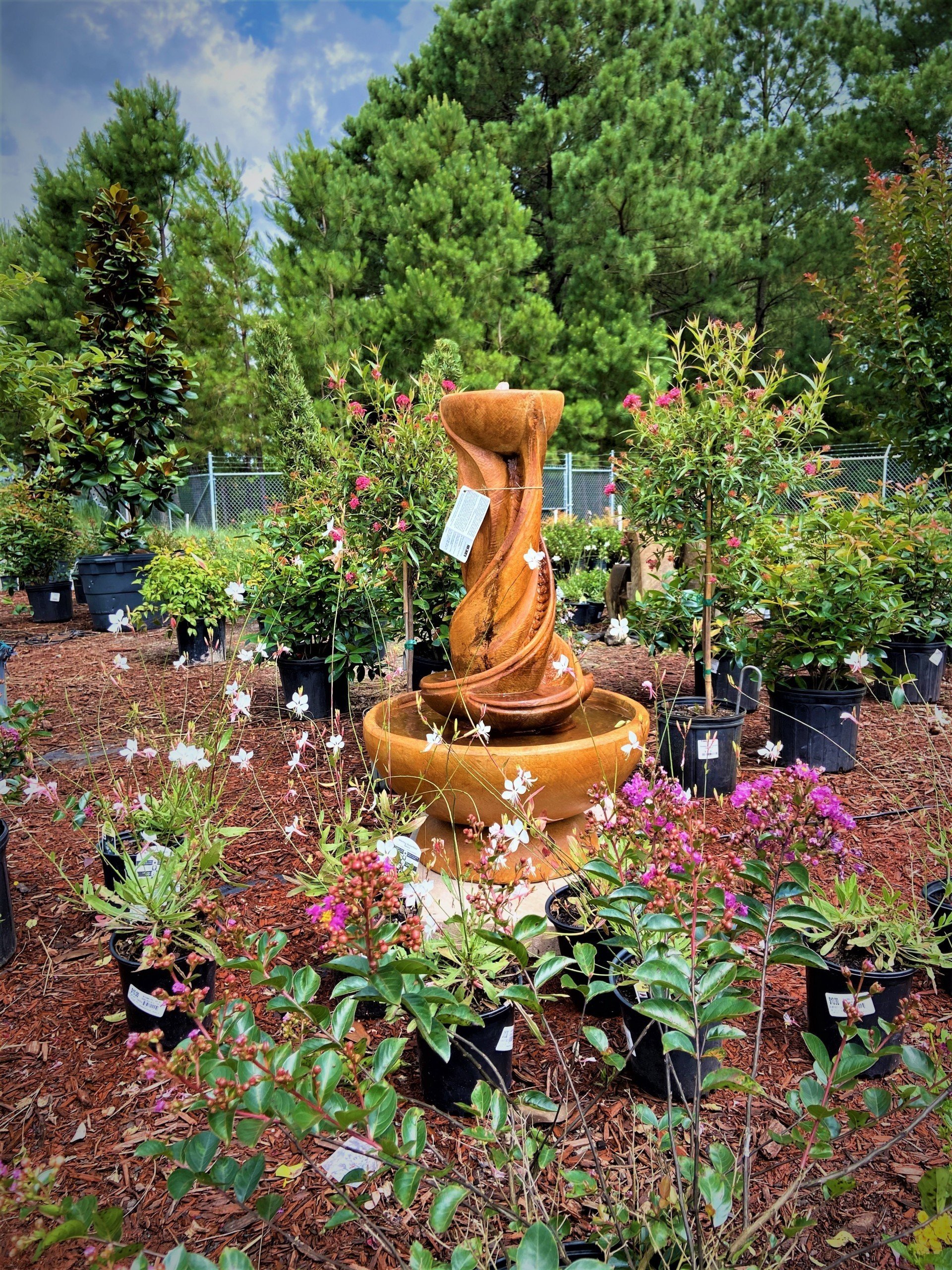 Landscaping/Plant Nursery Company Wilmington and Leland, NC Bloomin