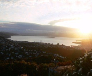 Wellington Harbor in New Zealand