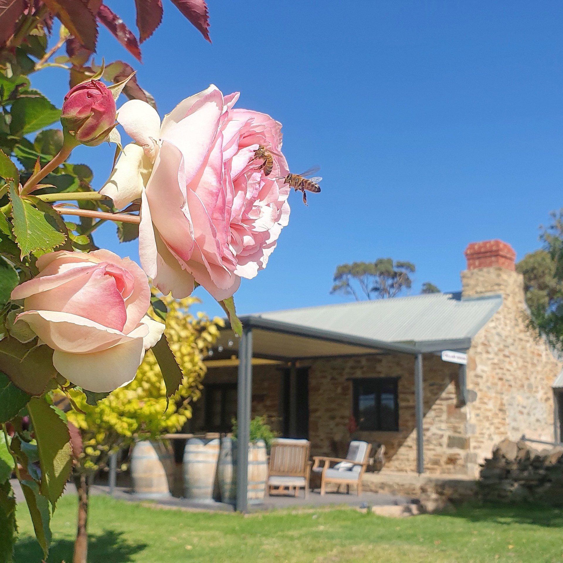 Experience Eden Wine Subscription