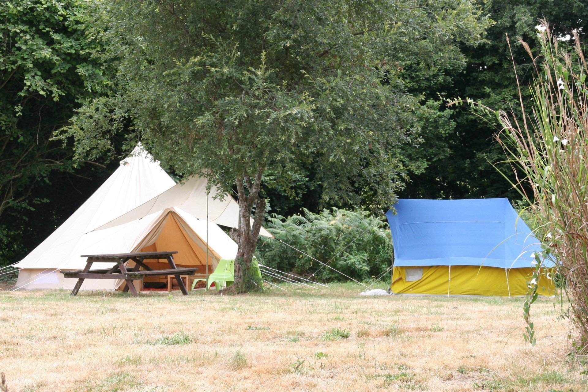 Home [www.lemontet.nl]