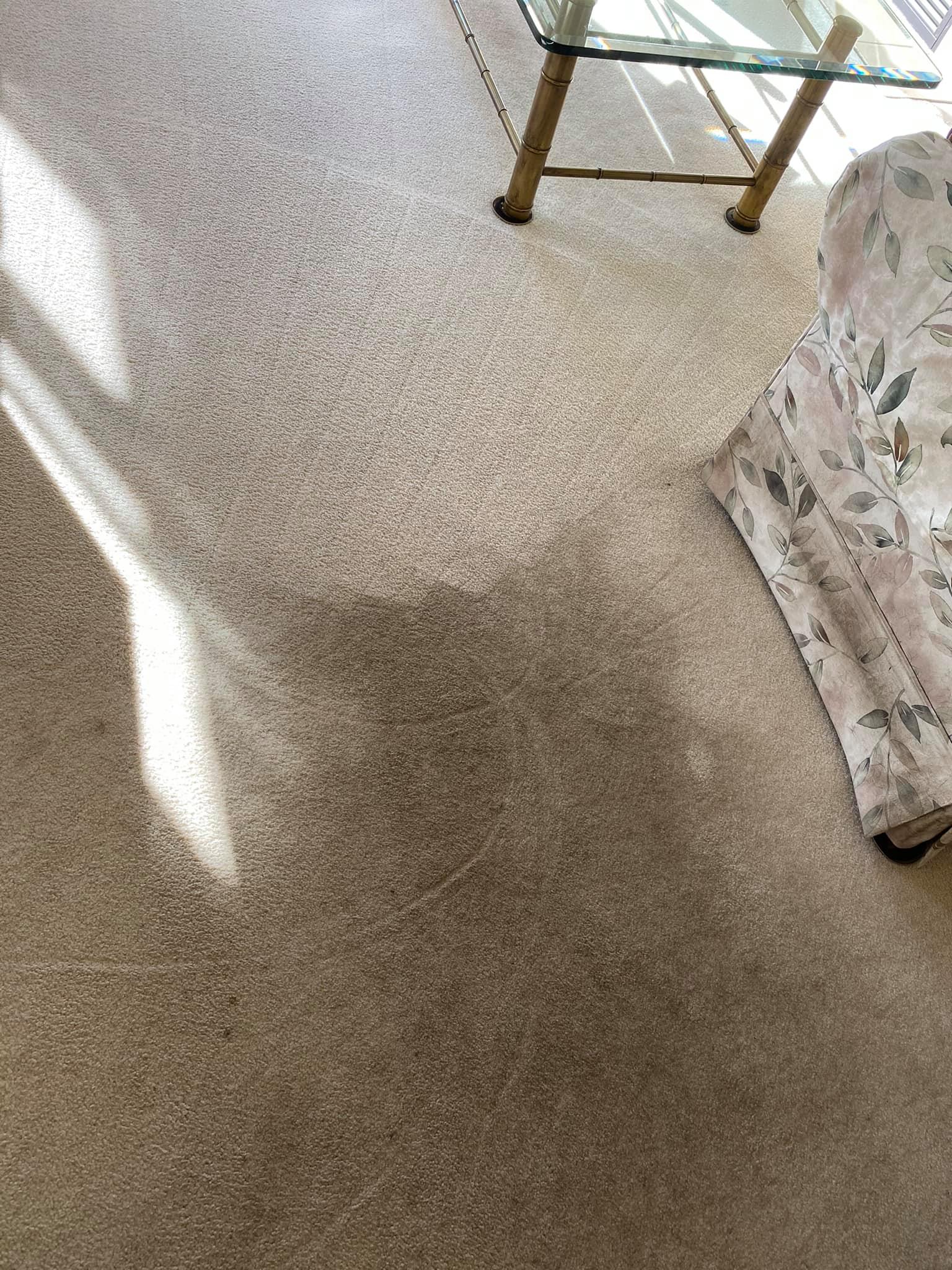 Keep Your Family Healthy Loveland, CO SilverKey Services