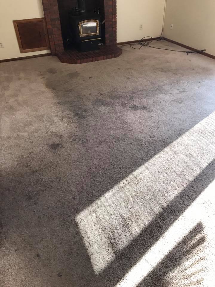 Carpet Cleaning Loveland Ohio at Etheridge blog