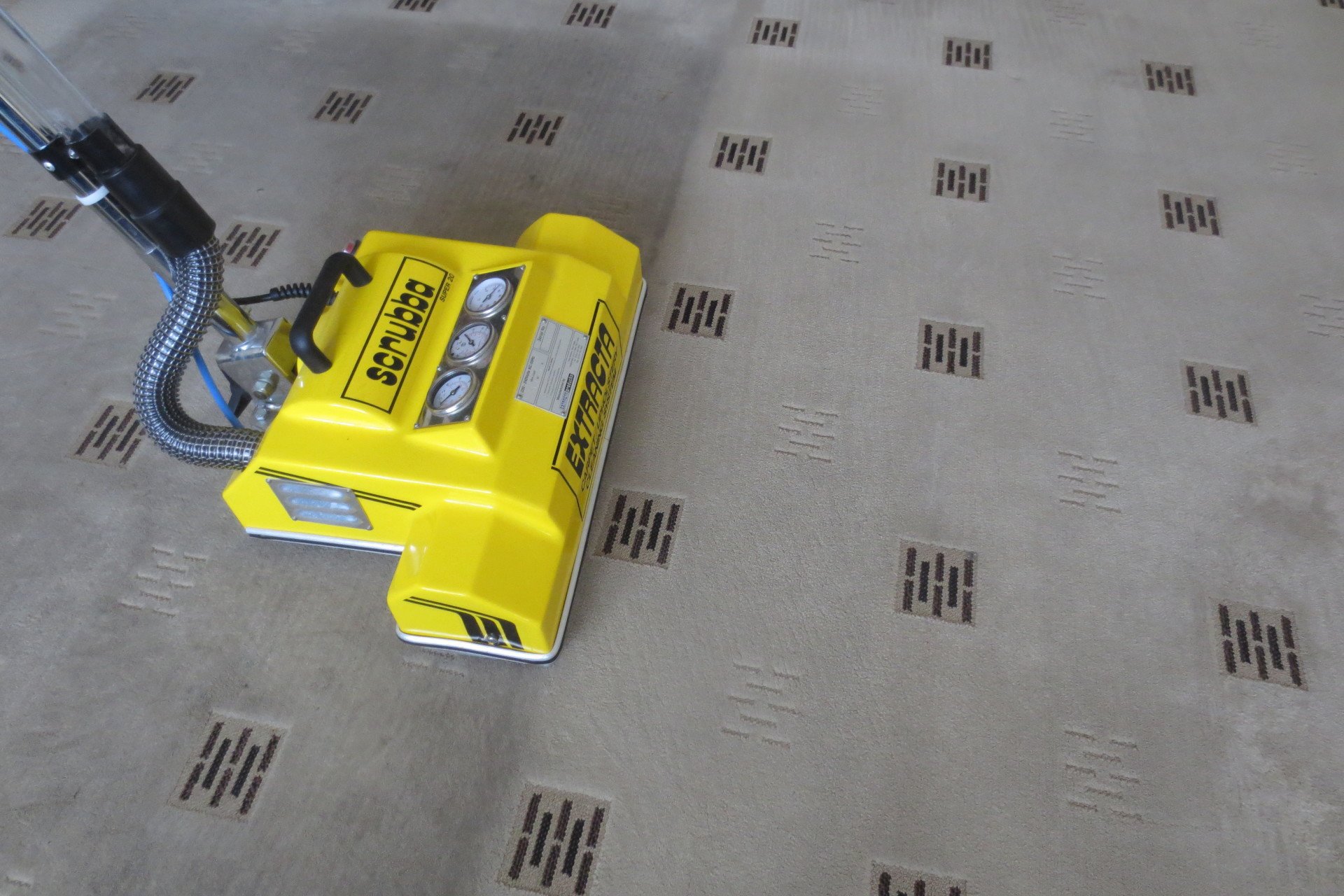 Professional carpet cleaning services Extracta Carpet Cleaners