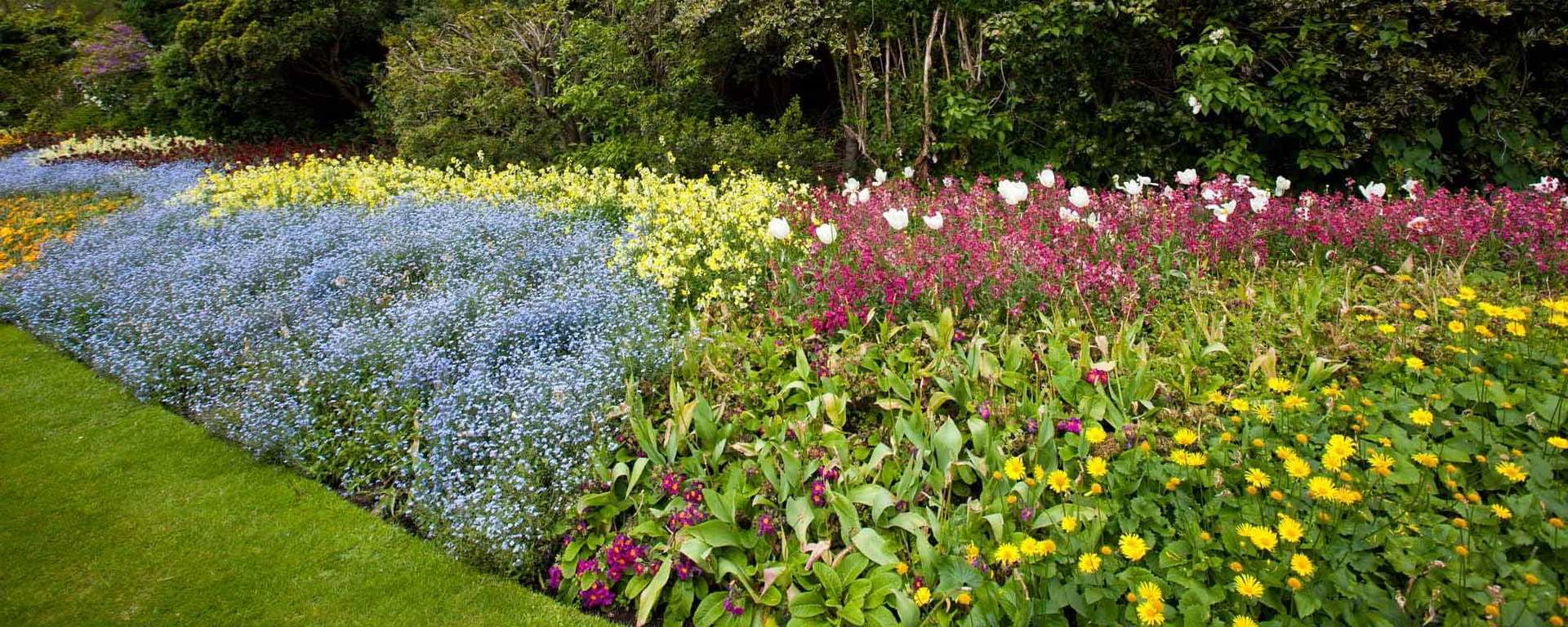 Your Tree and Plant Destination in Perth Advanced Nursery