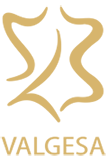 valgesa logo