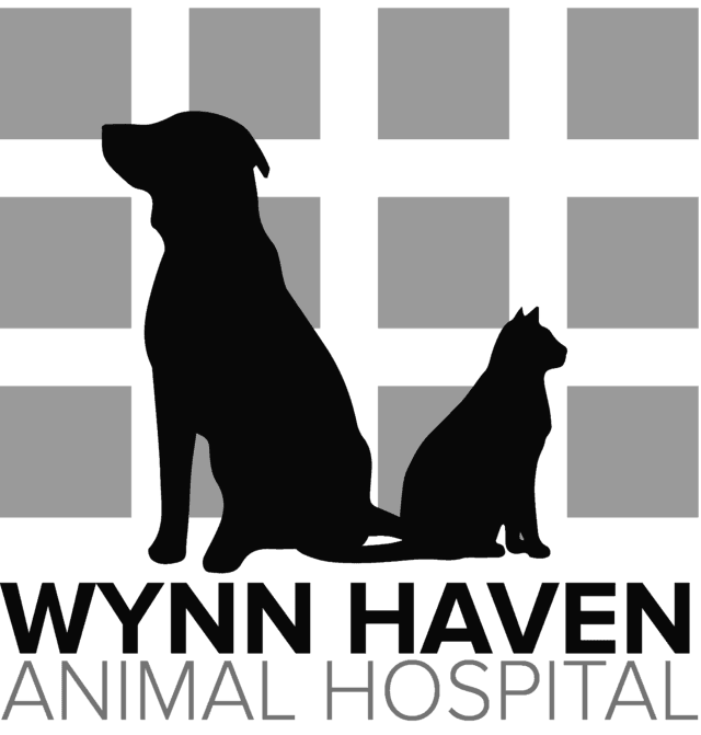 Wynn Haven Animal Hospital Veterinarians for Fort Walton Beach, Mary