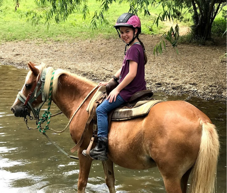Take the Lead Academy Horseback Riding Conway, AR