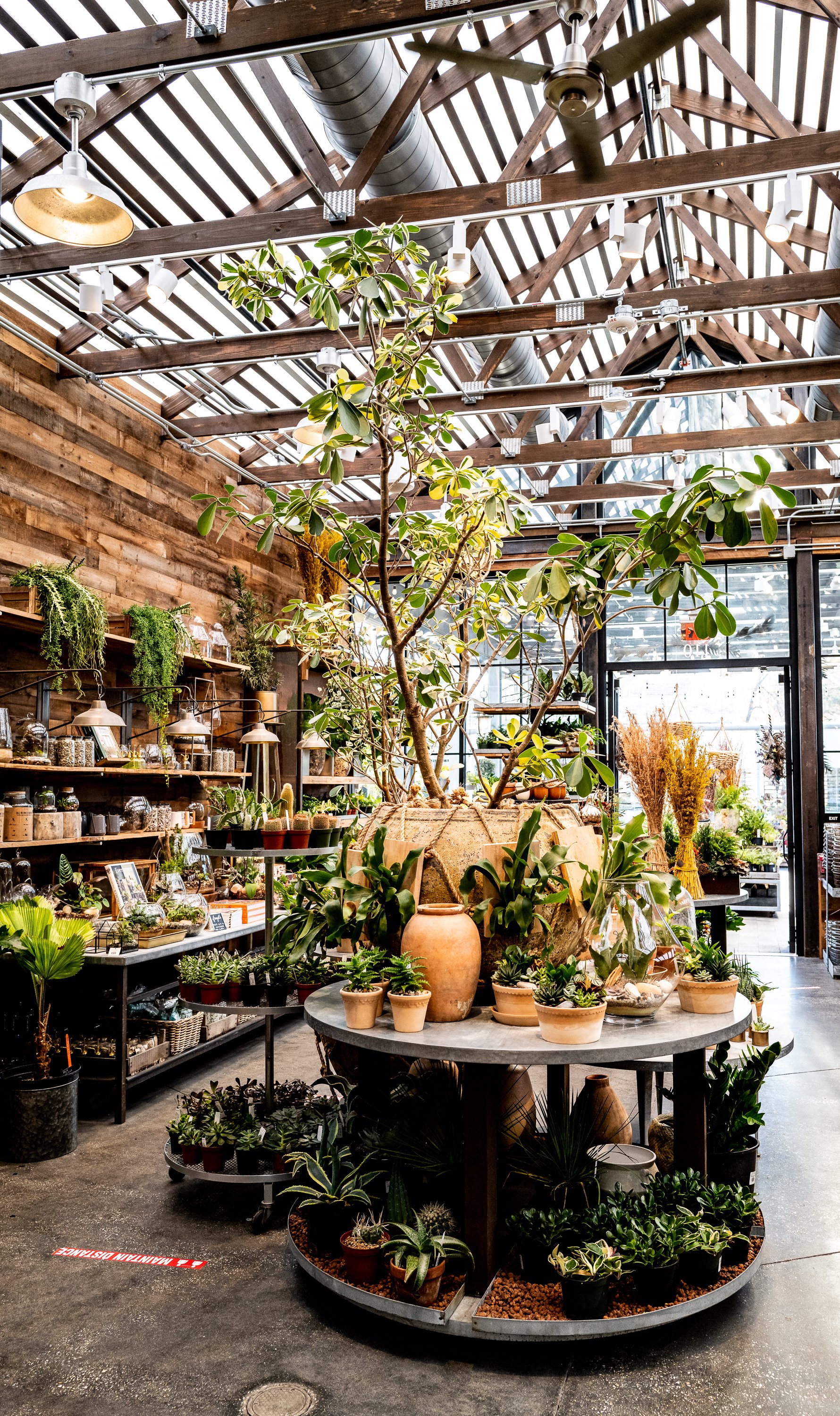 Commercial Timber Framing transforms retail spaces in Devon, Pennsylvania.
