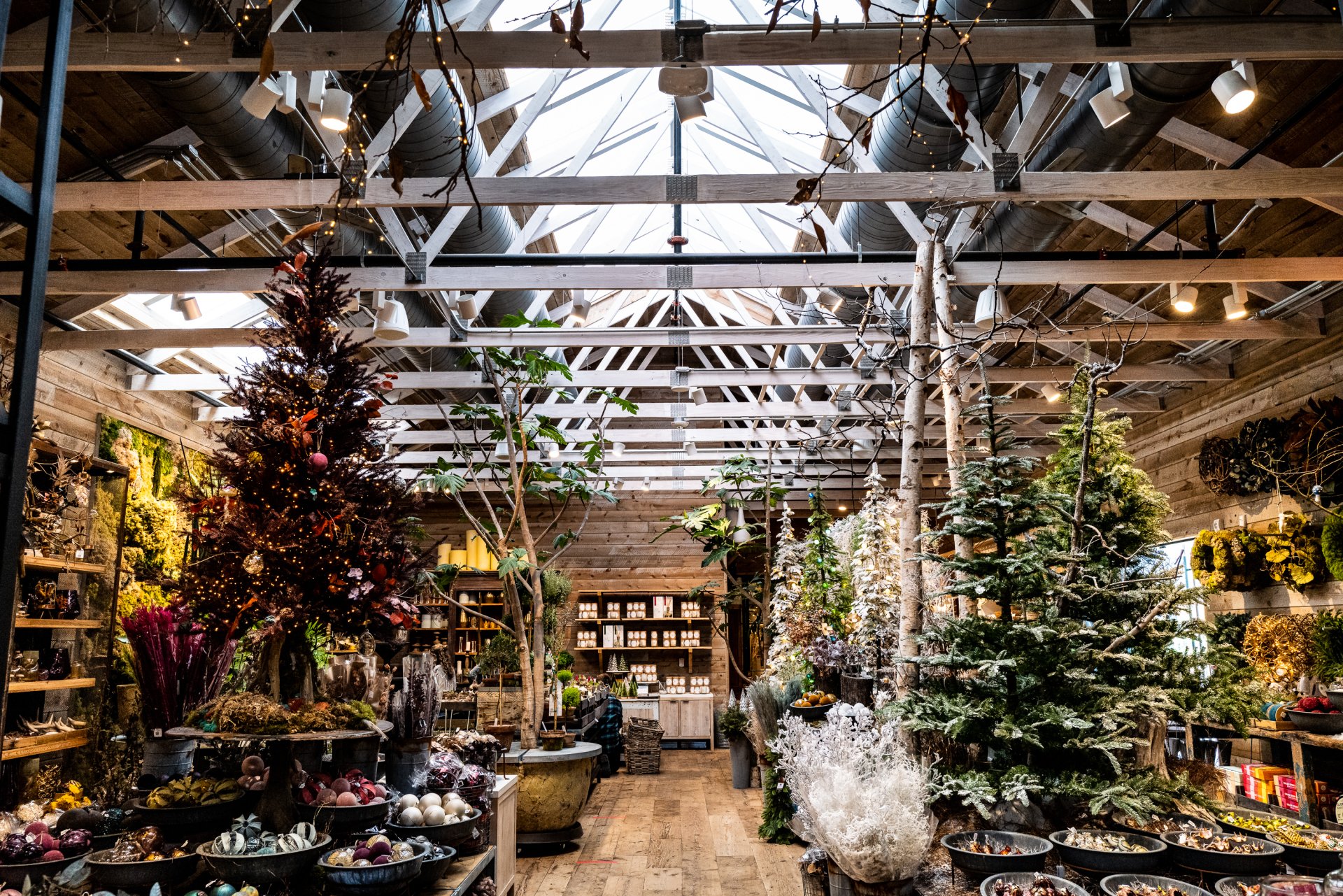 Commercial Timber Framing transforms retail spaces in Devon, Pennsylvania.