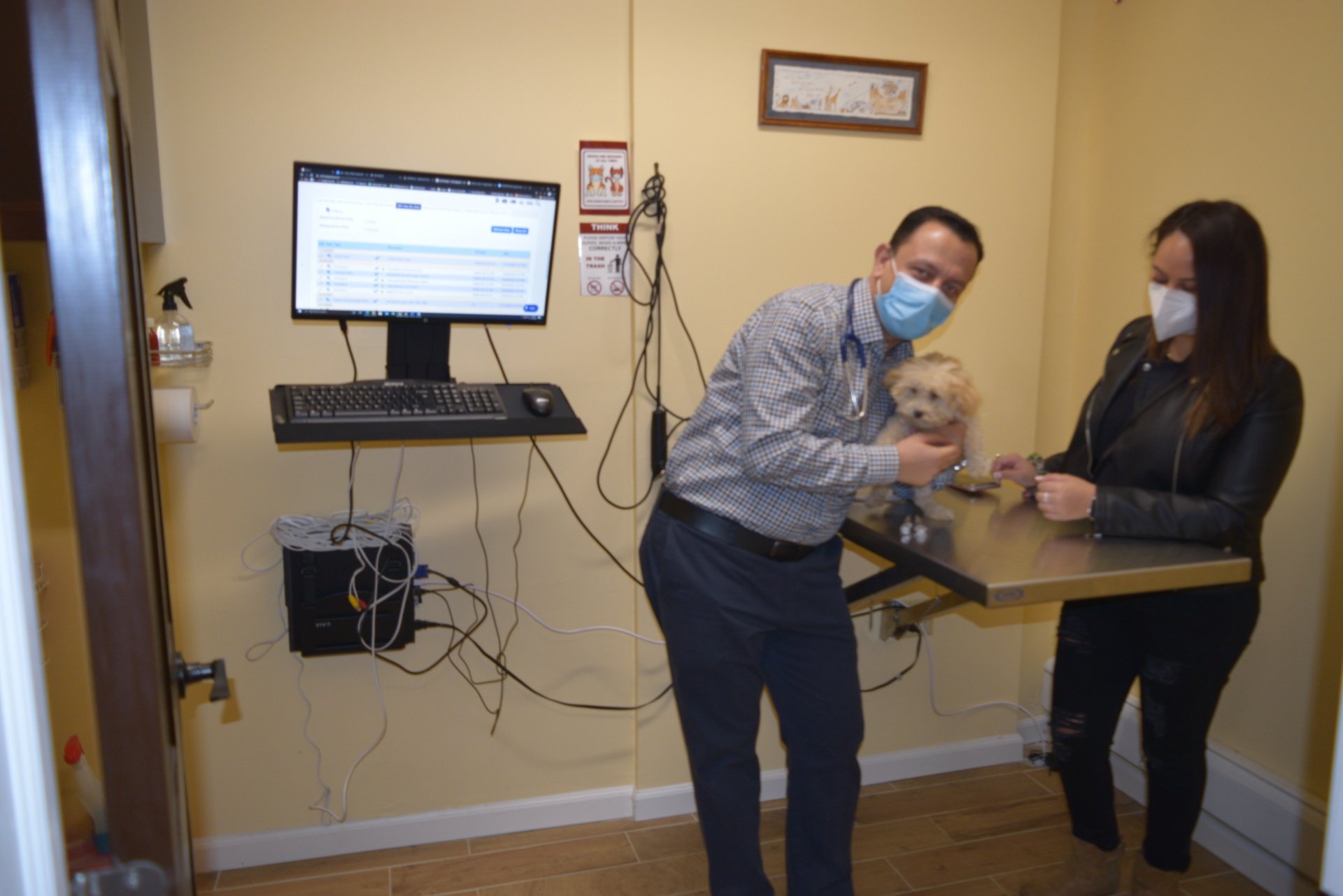 Best Veterinarian in Queens, New YorkQueens Animal Hospital