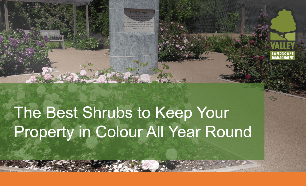 Outsourcing Grounds Management Is It Really Worth The Money Outsourcing Grounds Management Is It Really Worth The Money
