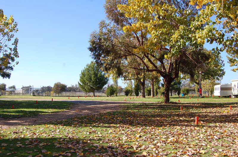 open field at caravan park in curlwaa