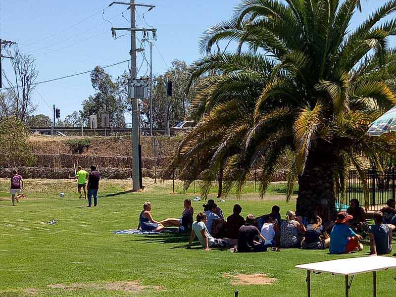 people in shade of tree in carlwaa