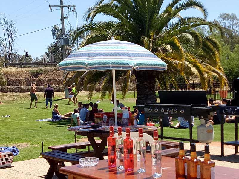 people enjoying outdoors in carlwaa