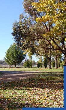 camp site and caravan park in curlwaa