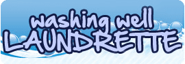 washing well laundrette business logo
