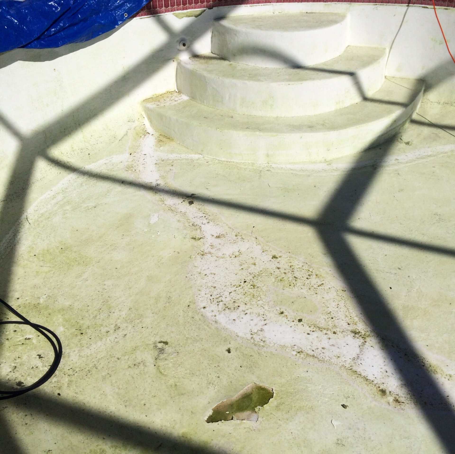 Swimming Pools Bradenton, FL Doug's Pool Service