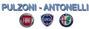 http://www.pulzoniauto.com logo pulzoni auto