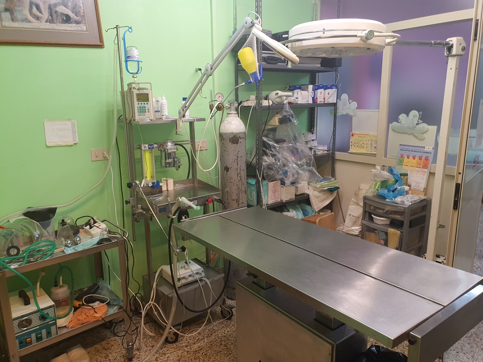 ambulatorio veterinario dott. gigante veterinaria novi