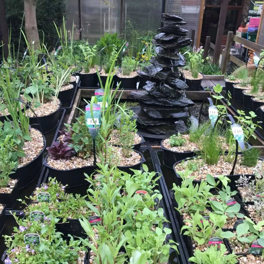 Valleyside Garden Centre Your traditional garden centre in Sheffield