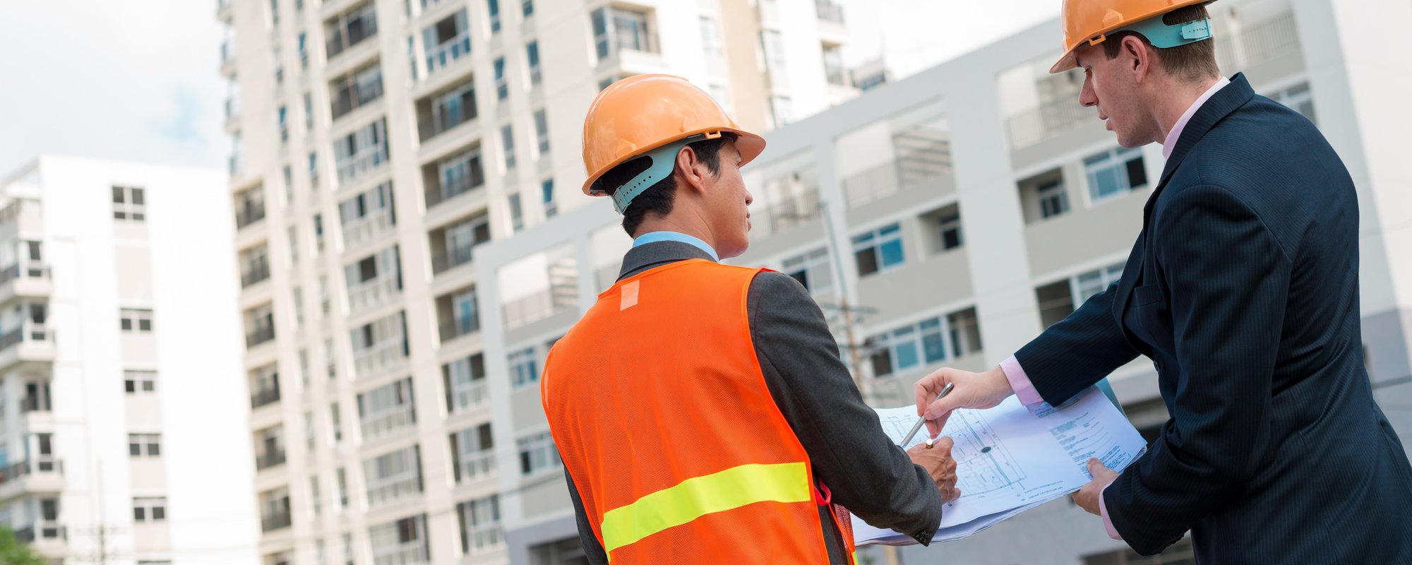 Expert guiding the coworker about the progress