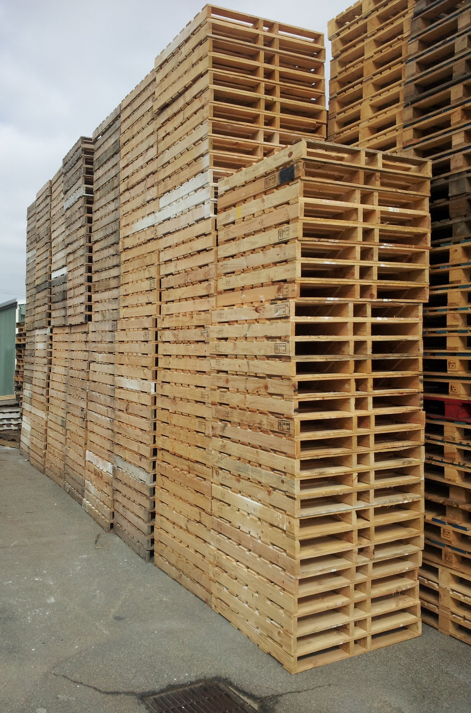 Reusable Pallets in Perth 1/2 Price Pallets