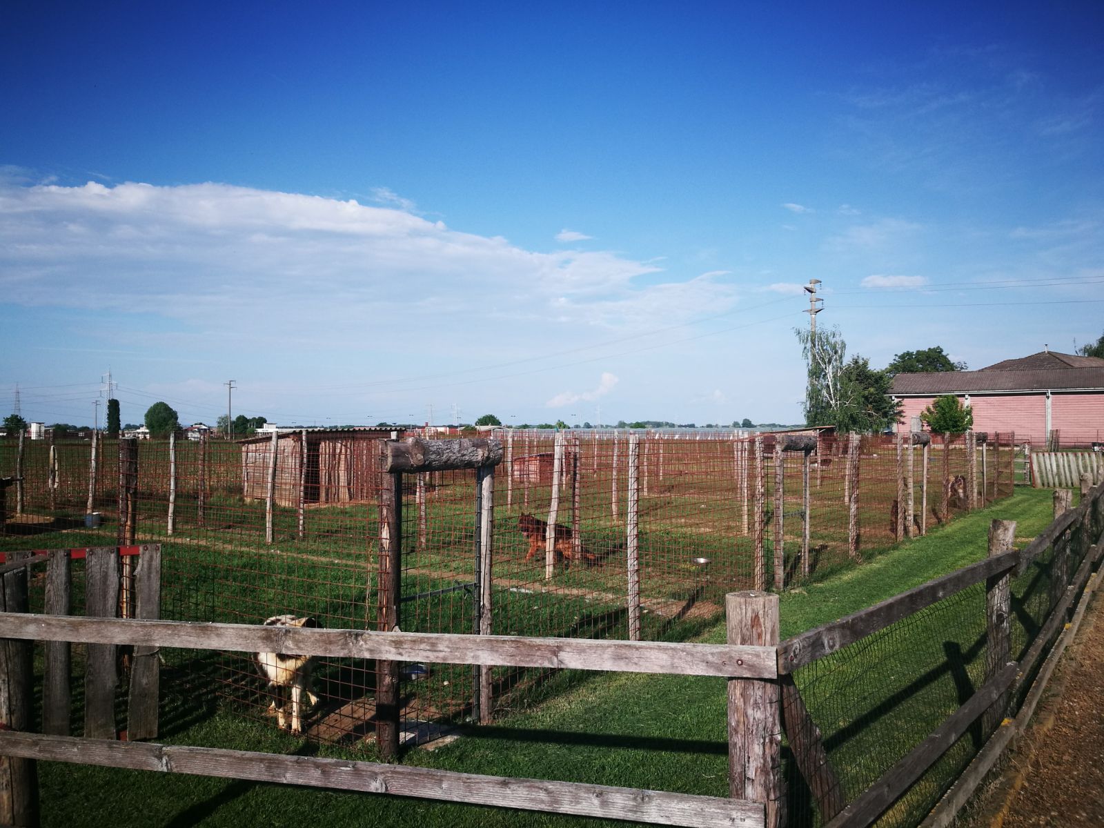 Pensione Per Cani Provincia Di Como