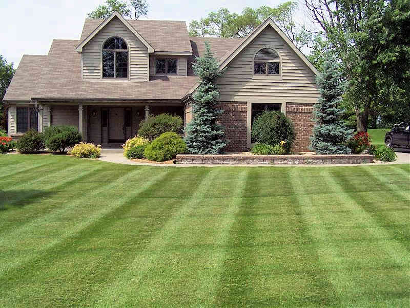 Ground Experts for Landscaping - Lawn Care Services De49973c