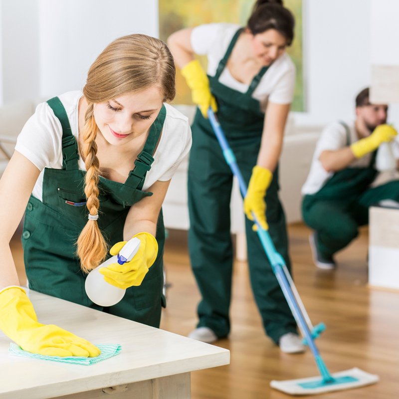 House & Office Cleaning Northshore, LA A Special Touch House Cleaning