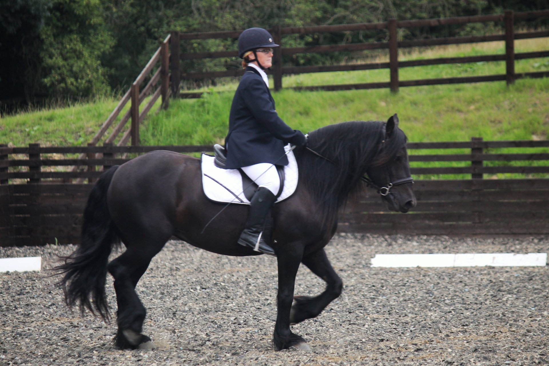 Back Lane Stables Riding Club Horse Riding School BHS Approved