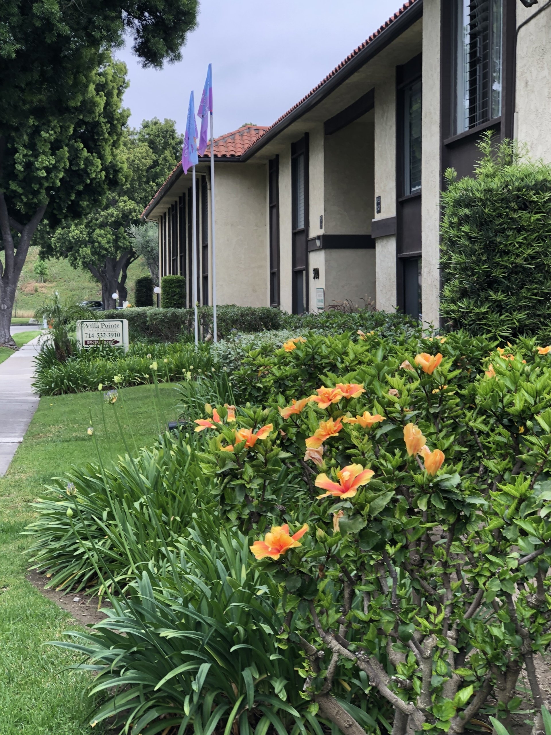 Villa Pointe Apartments Photos