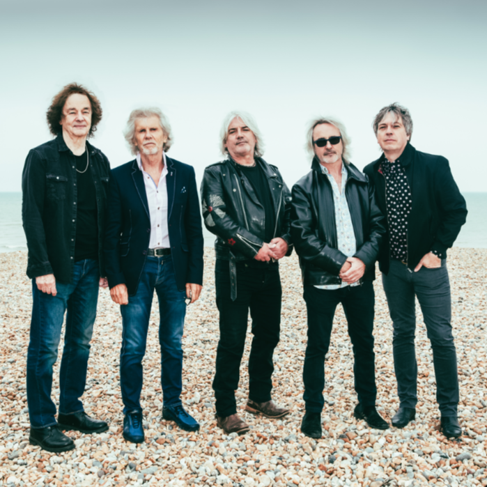 The Zombies at Rhythmtree 2019